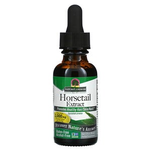 Horsechesnut Seed