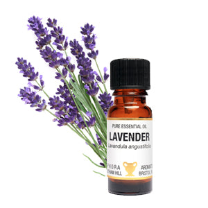 Lavender Essential Oil 10ml