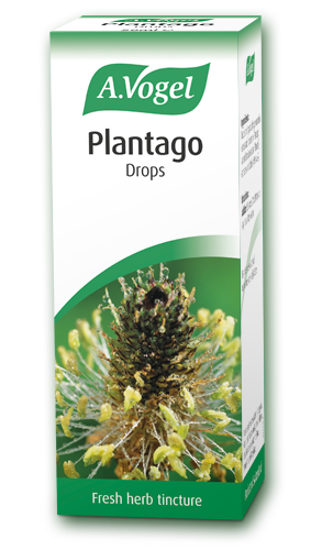 Plantago 50ml - Health Emporium
