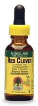 Red Clover Tops  SINGLE - Health Emporium